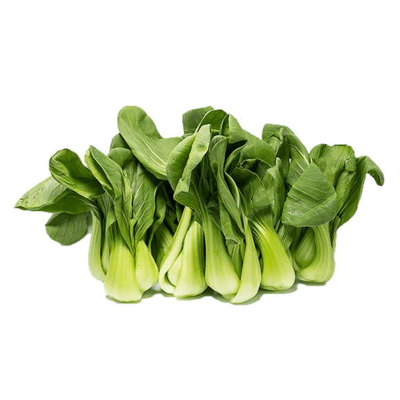 Shanghai Seedlings 1pk (~1.5lbs) - Brandco Direct Inc