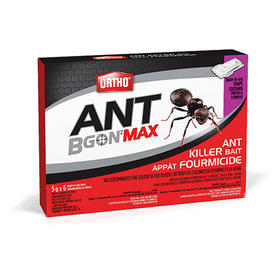 Ortho Ant Bait Box, 60g - Brandco Direct Inc