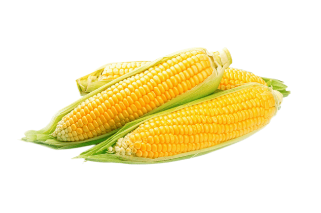 Corn 1pk (5pcs) - Brandco Direct Inc