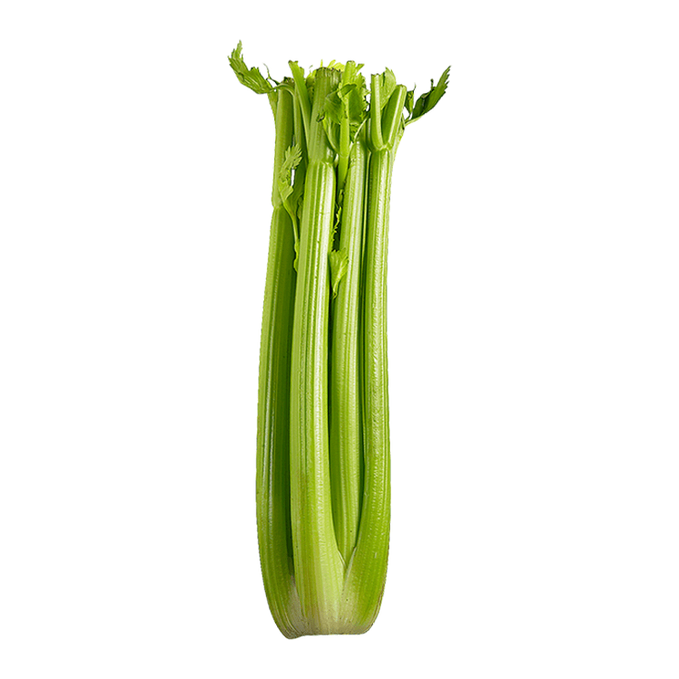 Celery 1pc - Brandco Direct Inc