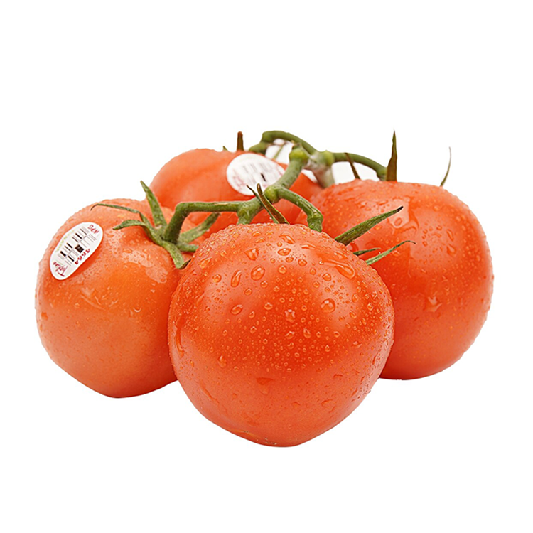 Branch Tomatoes 2pc (0.7~1lb)