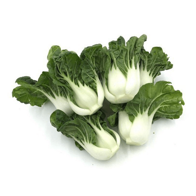 Creamed Cabbage Sprouts 1pk (~1.5lbs) - Brandco Direct Inc