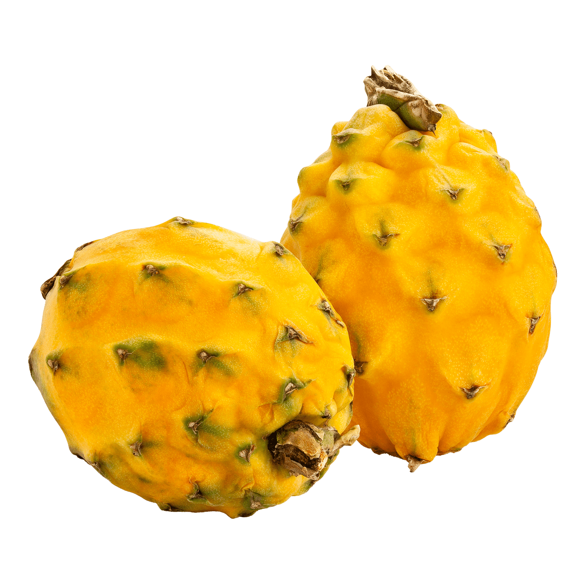 Yellow Dragon Fruit 3pc - Brandco Direct Inc