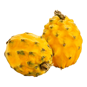 Yellow Dragon Fruit 3pc - Brandco Direct Inc