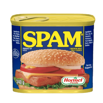 Spam Luncheon Meat 340g - Brandco Direct Inc