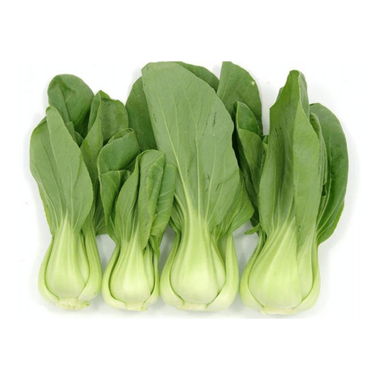 Shanghai Cabbage 1pk (~2lb) - Brandco Direct Inc