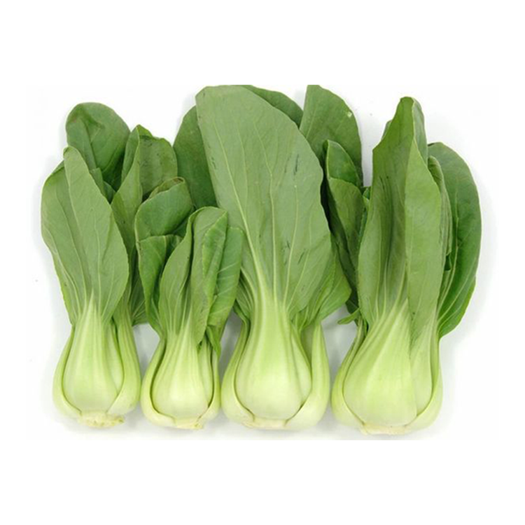 Shanghai Cabbage 1pk (~2lb)