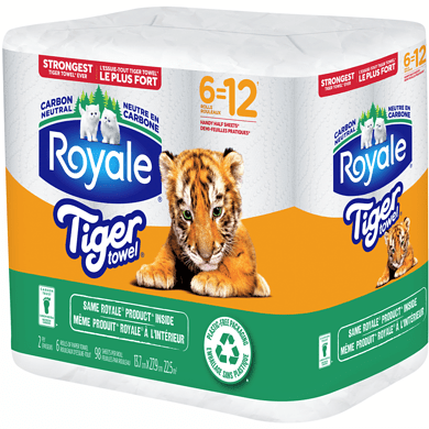 Royale Tiger Paper Towel 2Ply 6DR=12R 98S HHT(6 Roll) - Brandco Direct Inc