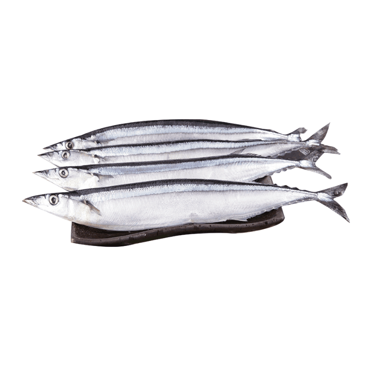 Frozen saury 330g - Brandco Direct Inc