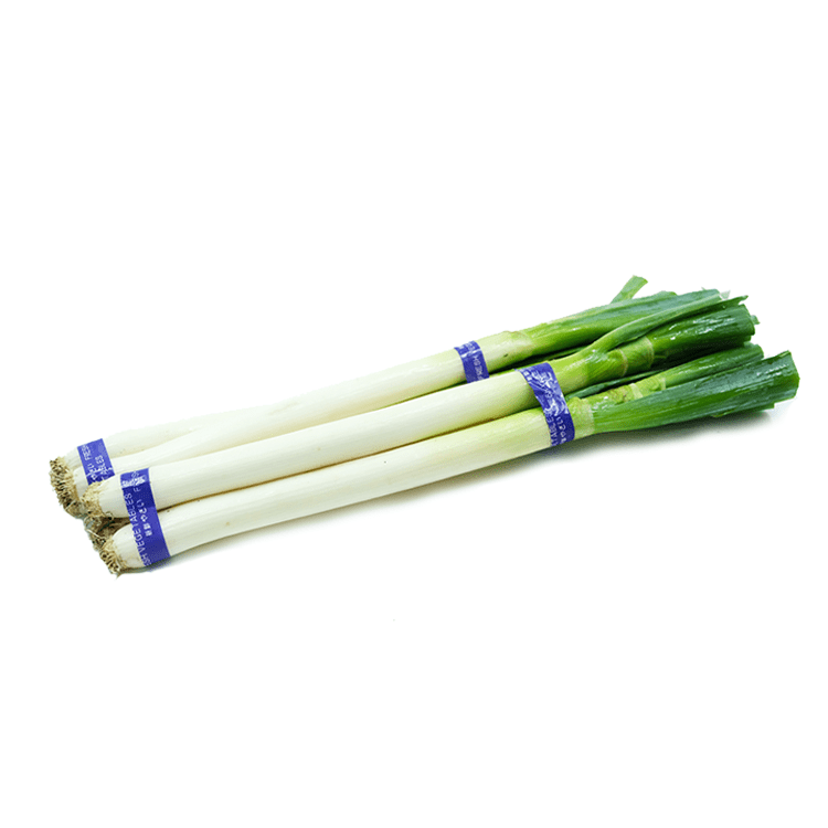 Chinese Leek 1pk - Brandco Direct Inc