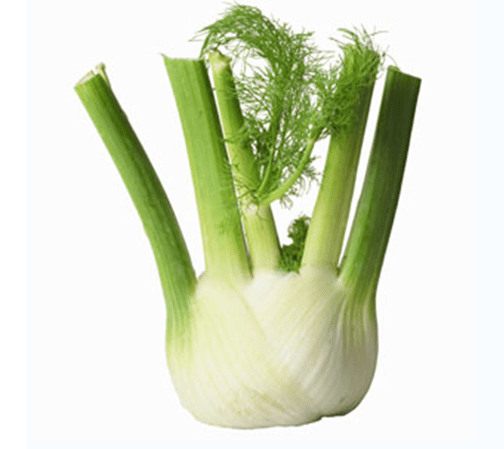 Fennel Bulb 1pc - Brandco Direct Inc