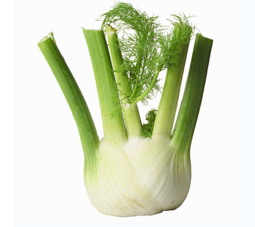 Fennel Bulb 1pc