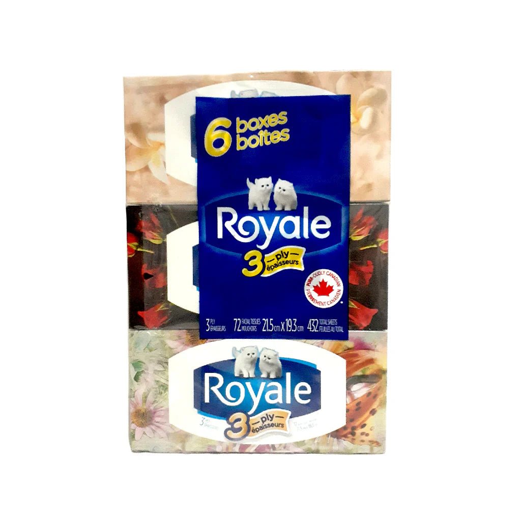 Royale Facial Tissue 6 Packs 3Ply (6x72s) - Brandco Direct Inc