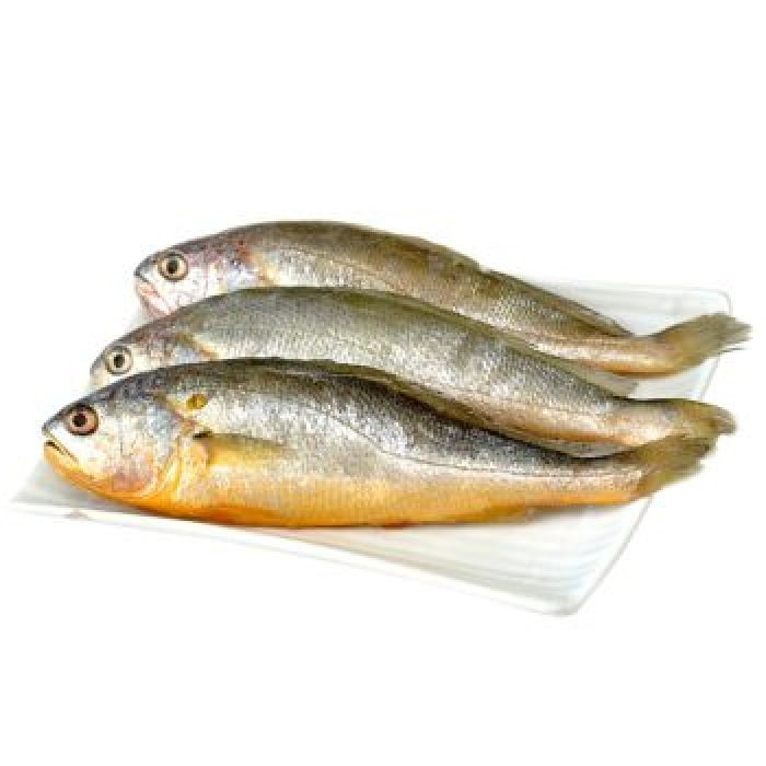 Quick Frozen Yellow Croaker Fish (2 pieces)