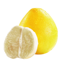 White Honey Pomelo 1pc - Brandco Direct Inc