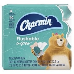 Charmin Flushable Soft Wipes 4Packs - Brandco Direct Inc