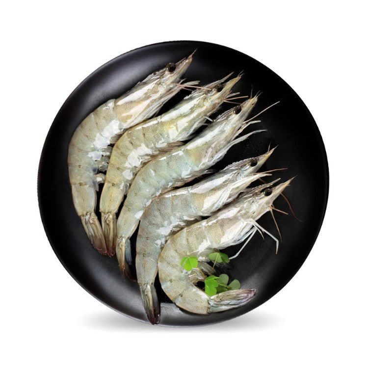 Fresh Frozen Head - on White Shrimp(4lbs) - Brandco Direct Inc