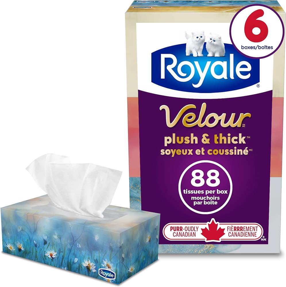 Royale Facial Tissue 6 Packs 3Ply (6x88s)