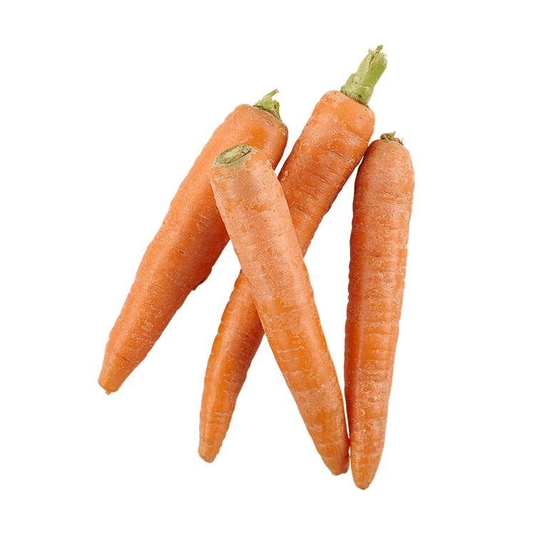 Carrots 2pc (~1lbs) - Brandco Direct Inc