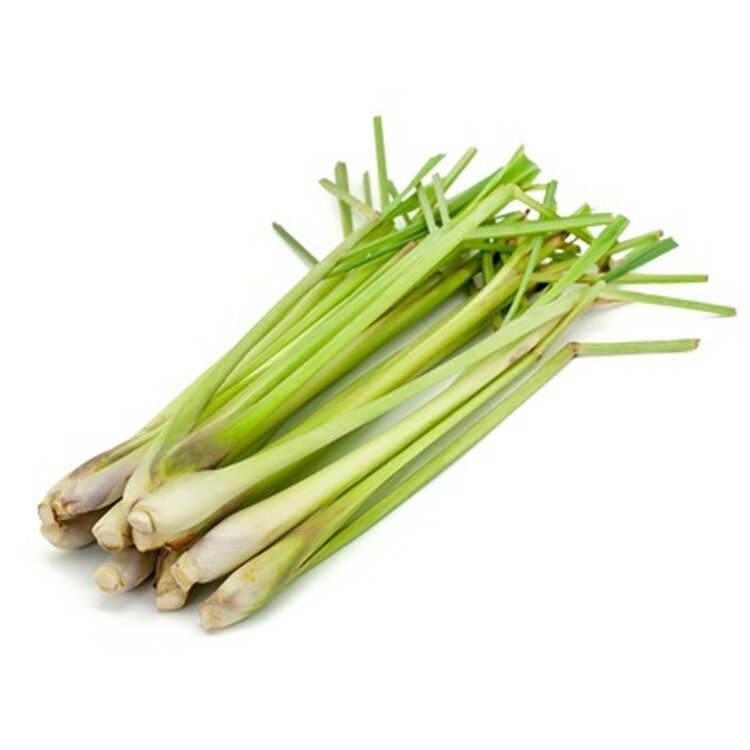 Lemongrass 3pcs - Brandco Direct Inc