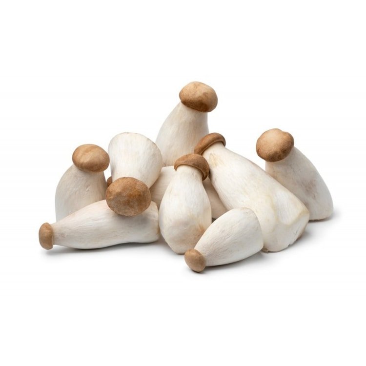 Organic King Oyster Mushroom 1pk - Brandco Direct Inc