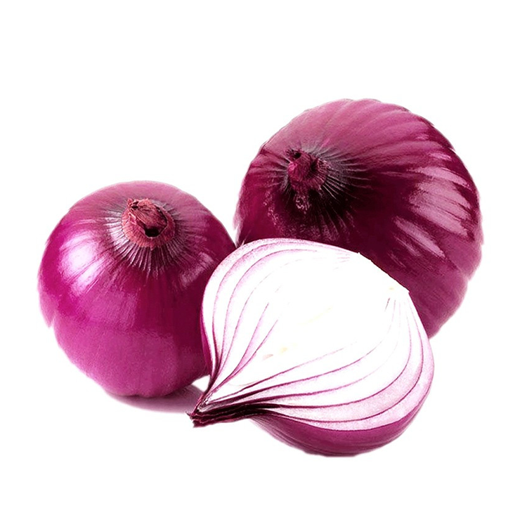 Purple Onion 1pc (~0.7lbs)