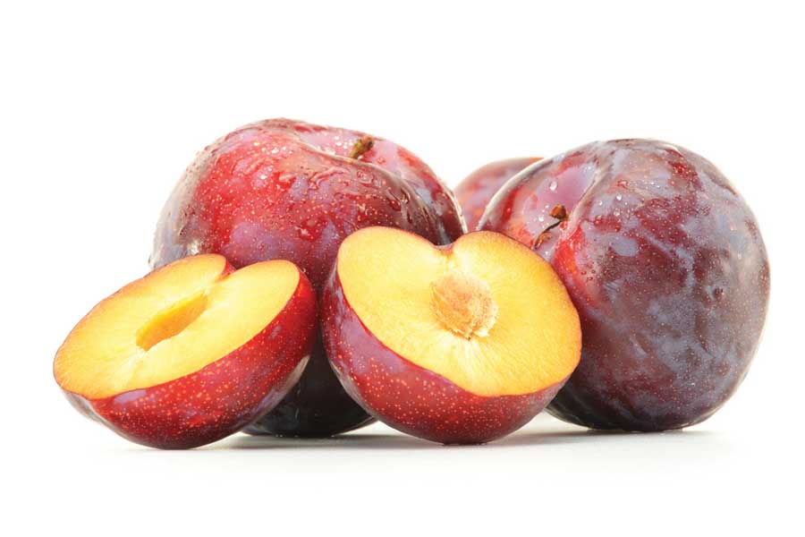 Red Plum 1 Pack (~2lbs) - Brandco Direct Inc