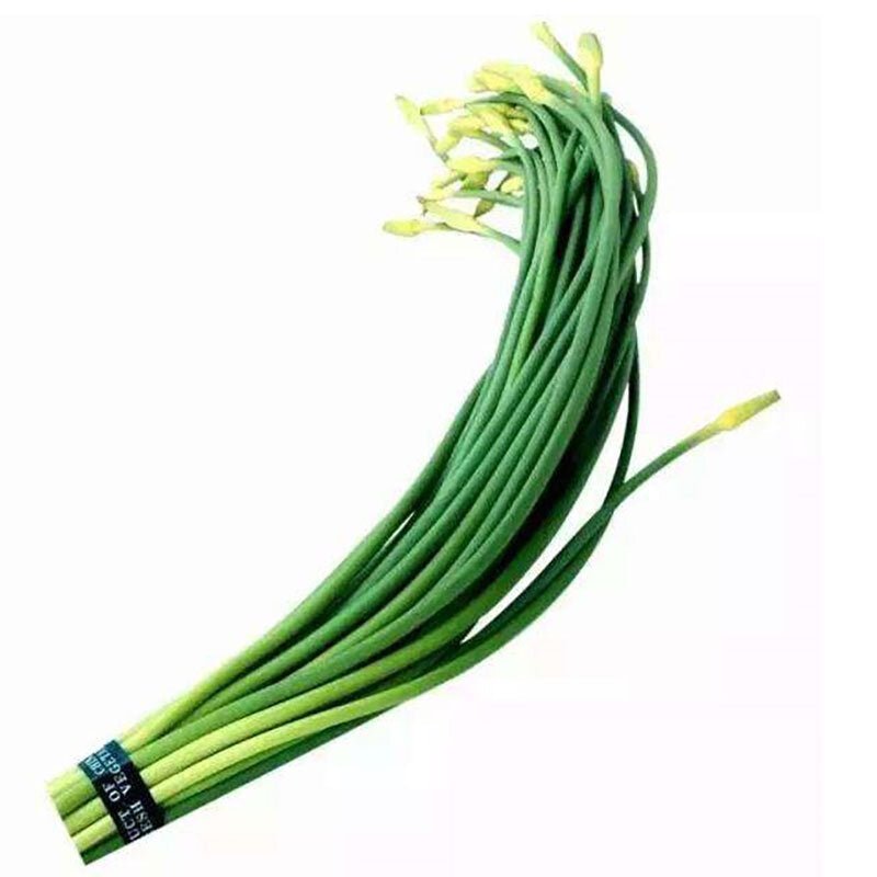 Garlic Scapes 1pc - Brandco Direct Inc