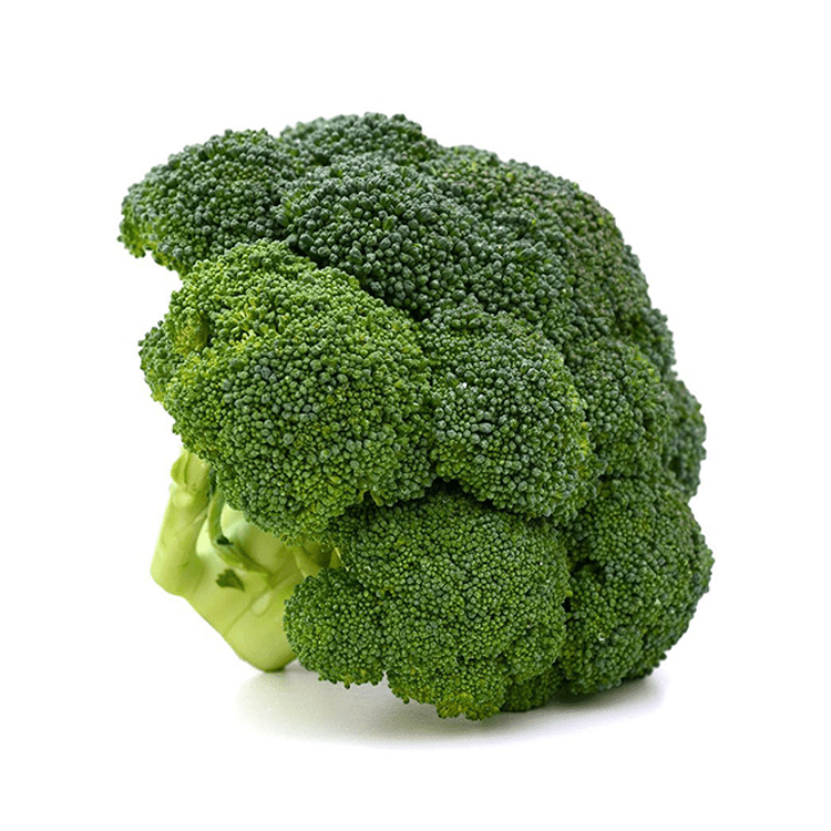 Fresh headless broccoli (~1lbs) - Brandco Direct Inc