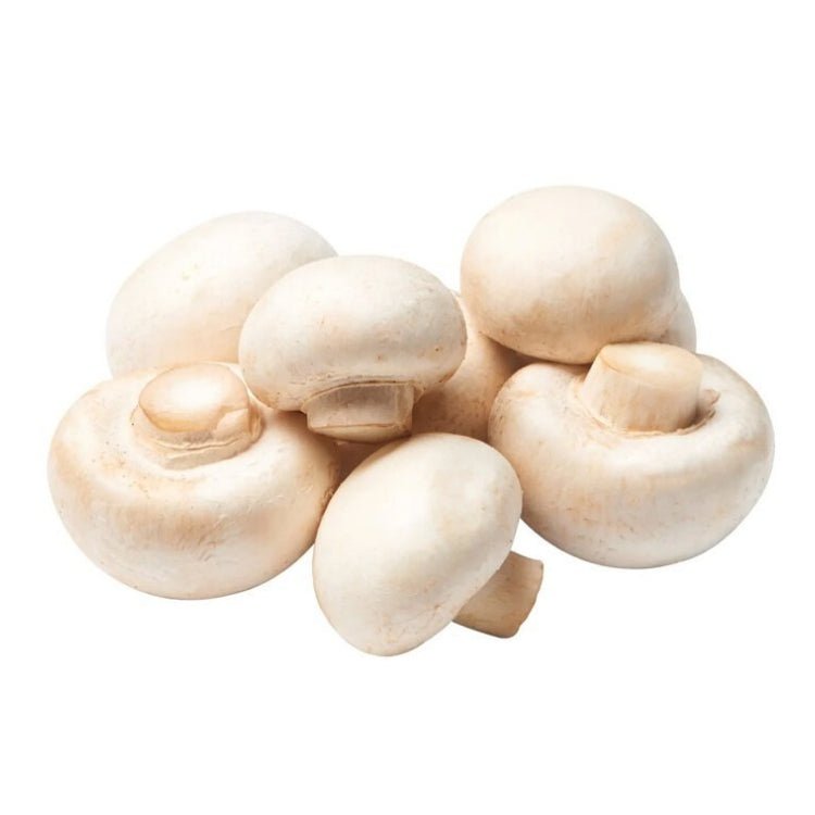 White Mushroom (227g) - Brandco Direct Inc