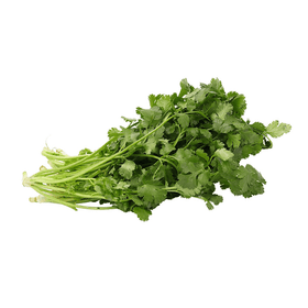Fresh Coriander 1pc - Brandco Direct Inc