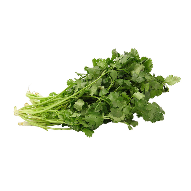 Fresh Coriander 1pc