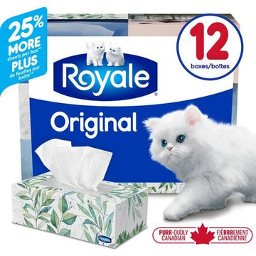 Royale Facial Tissue 12 Pack 2 Ply 126 Sheets (12x126s) - Brandco Direct Inc