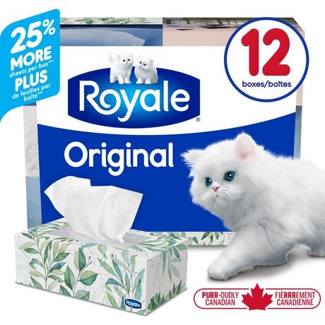 Royale Facial Tissue 12 Pack 2 Ply 126 Sheets (12x126s) - Brandco Direct Inc