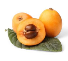 Loquat 1lb - Brandco Direct Inc