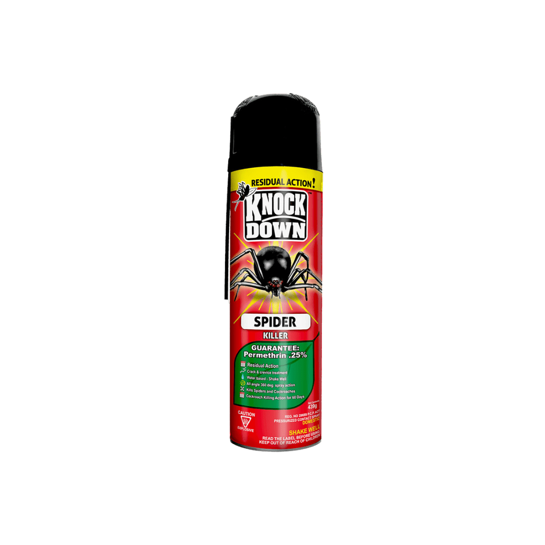 Knock Down Spider Killer (439g) - Brandco Direct Inc