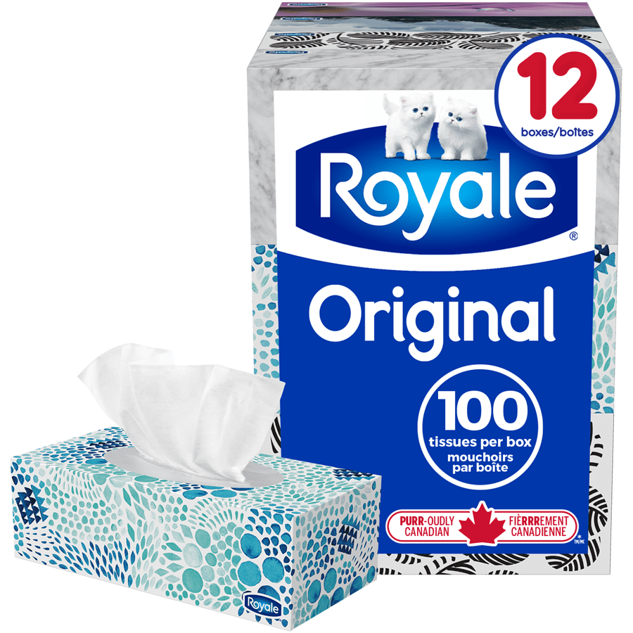 Royale Facial Tissue 12Packs 2Ply (12x100s) - Brandco Direct Inc