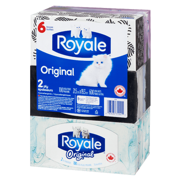 Royale Tissue 6Pack 2Ply (6x100S) - Brandco Direct Inc