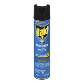 Raid Spider Blaster Bug Killer 6 (350g) - Brandco Direct Inc