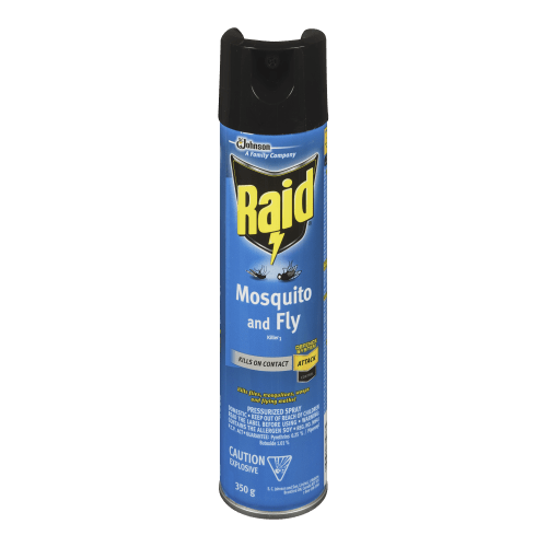 Raid Spider Blaster Bug Killer 6 (350g) - Brandco Direct Inc