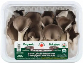 Organic Oyster Mushrooms - Brandco Direct Inc