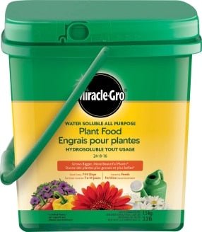 Miracle - Gro Water Soluble All Purpose Plant Food 24 - 8 - 16 (290g) - Brandco Direct Inc