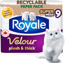 Royale Velour Toilet Paper 9S Mega Rolls 2Ply 319S (9R) - Brandco Direct Inc