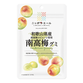 Zennoh Foods Wakayama Nanko Ume Gummy (40g) - Brandco Direct Inc