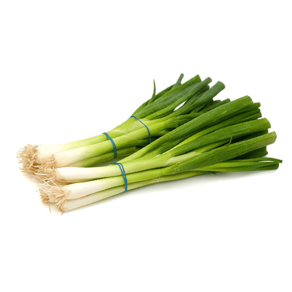 Green Onion 3pk - Brandco Direct Inc