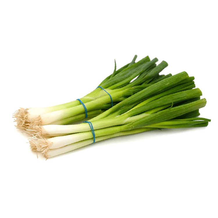 Green Onion 3pk - Brandco Direct Inc