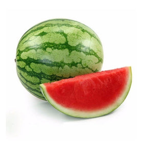 Watermelon 1pc - Brandco Direct Inc