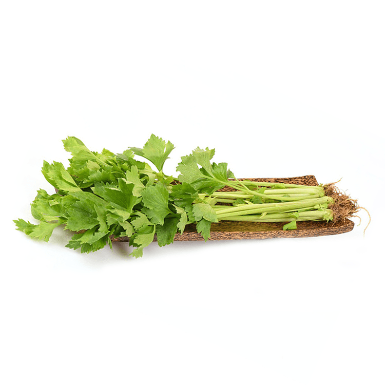 Chinese Celery (~1lb) - Brandco Direct Inc