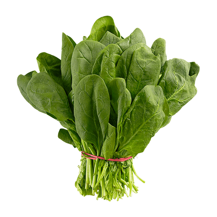 Spinach 1pk - Brandco Direct Inc