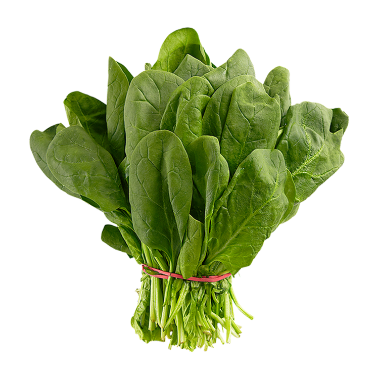 Spinach 1pk